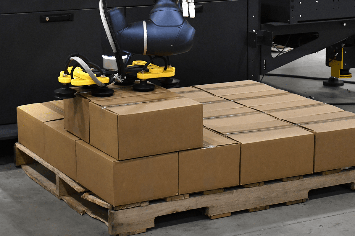 Jars of pet food being packed in trays