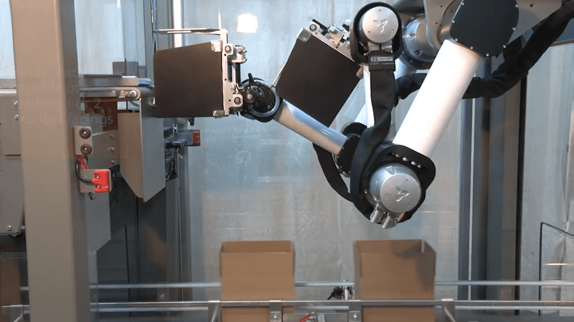 Robot bucket arms collecting product and top-loading into cases